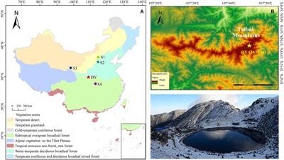 Vegetation Response to Holocene Climate Change in the Qinling Mountains in the Temperate–Subtropical Transition Zone of Central–East China